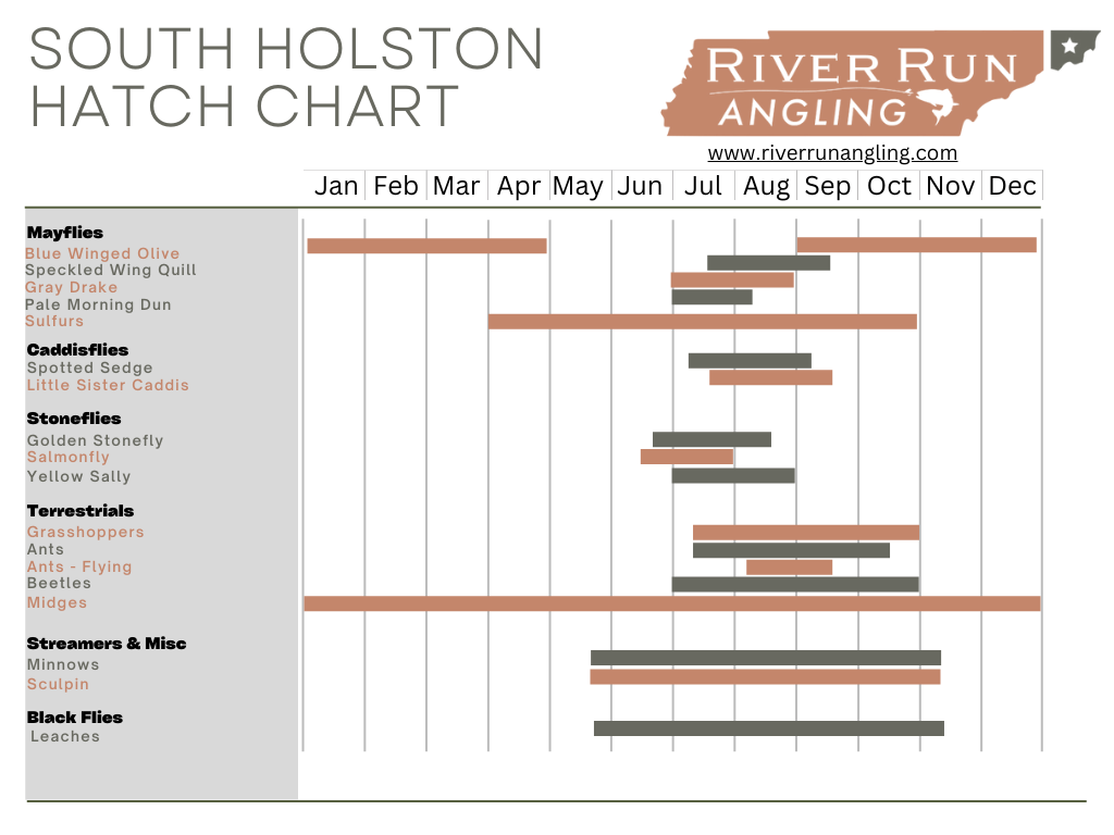 South Holston Hatch Chart