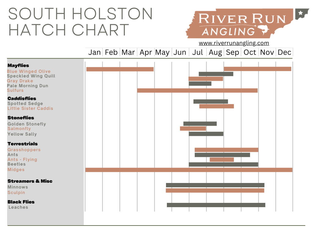 North Georgia Fly Hatch Chart, Blue Ridge GA