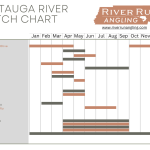 Watauga River Hatch Chart