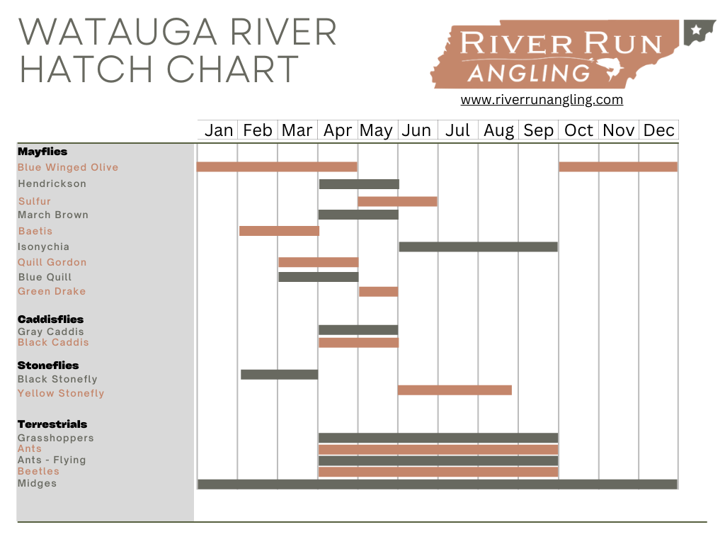 Watauga River Hatch Chart
