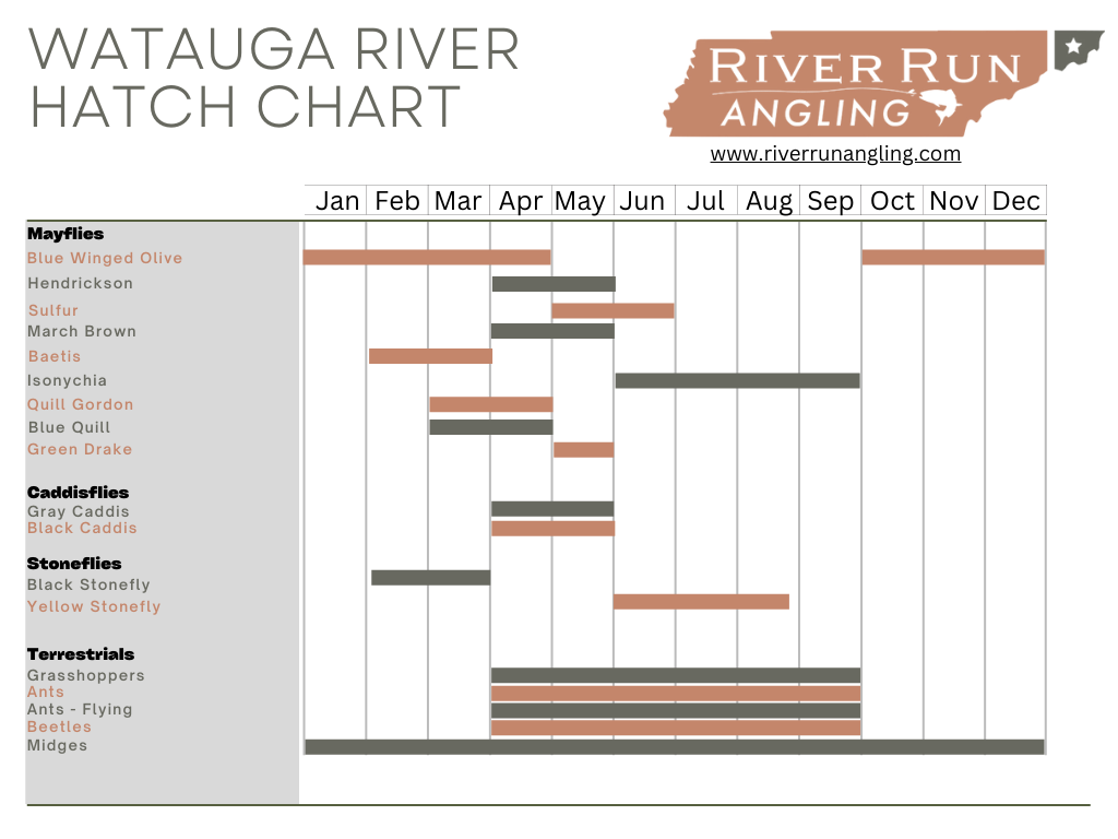 Hatch Charts  True North Trout