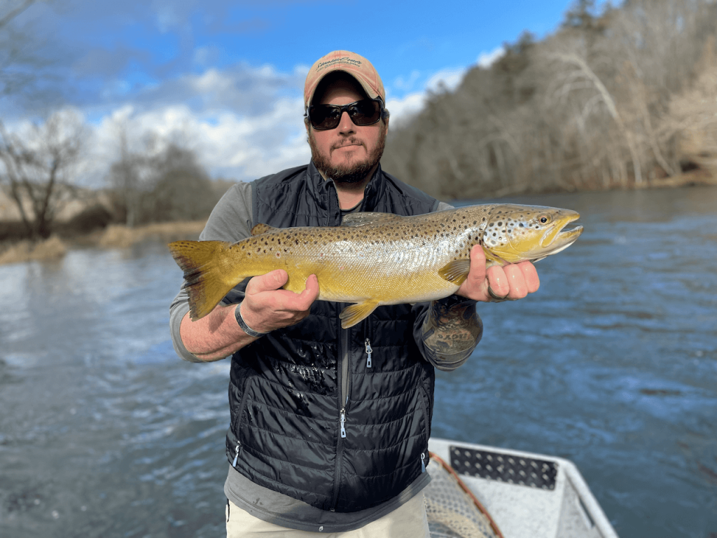 The Best Trout Fishing in Tennessee  River Run Angling