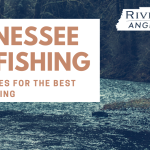 Tennessee fly fishing