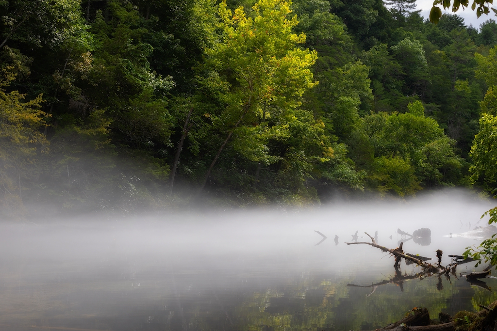 Tennessee Fly Fishing: Top 7 Places for the Best Trout Fishing