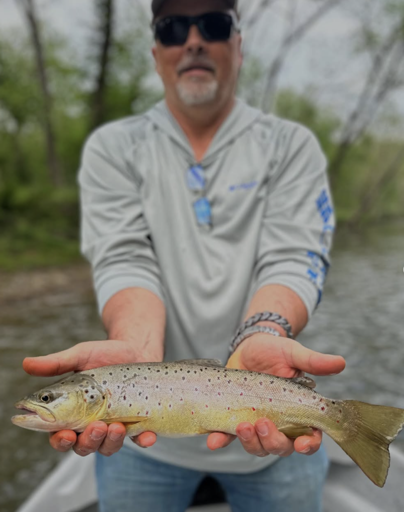 south holston river hatch chart