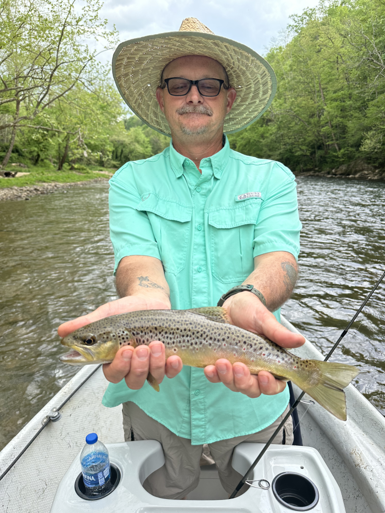watauga river hatch chart