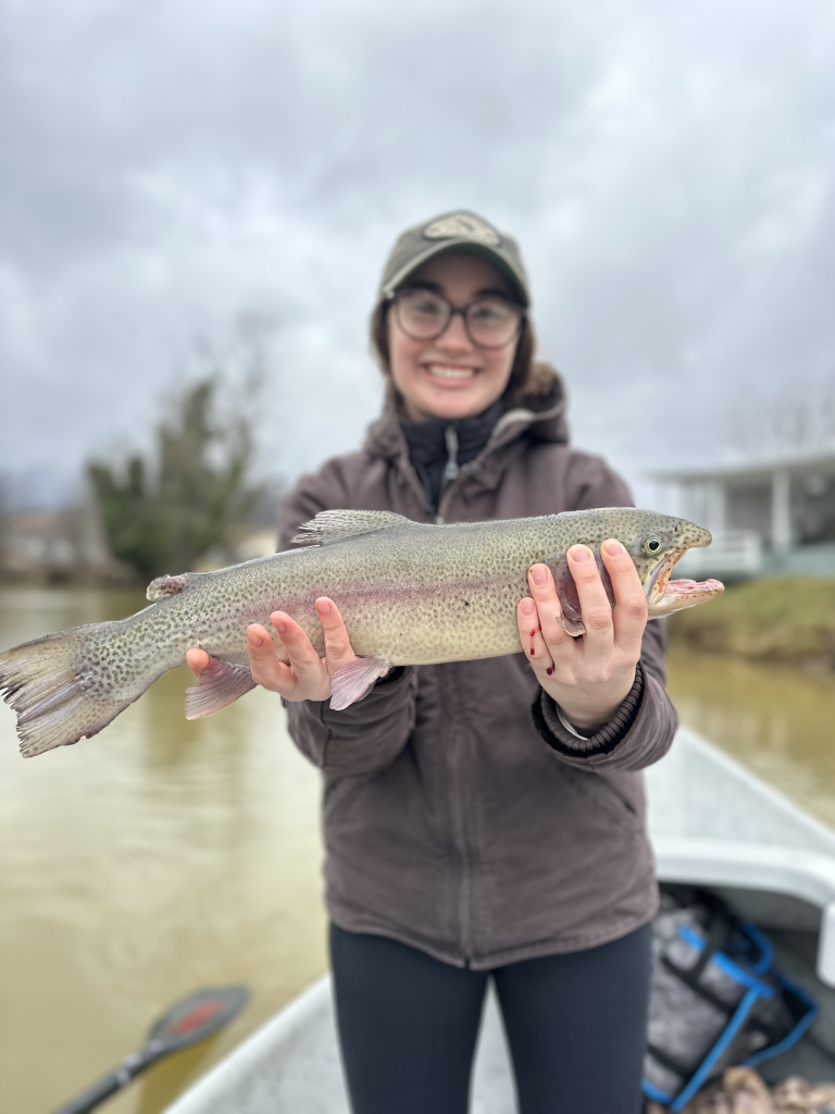 watauga river hatch chart