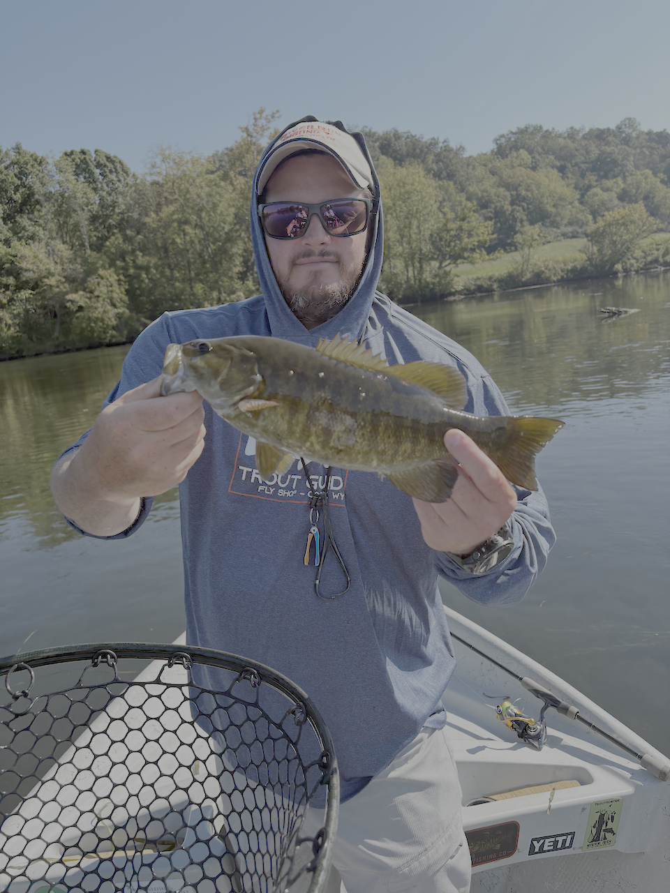 holston proper smallmouth bass