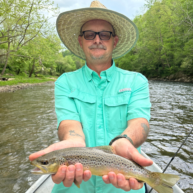 summer fly fishing watauga