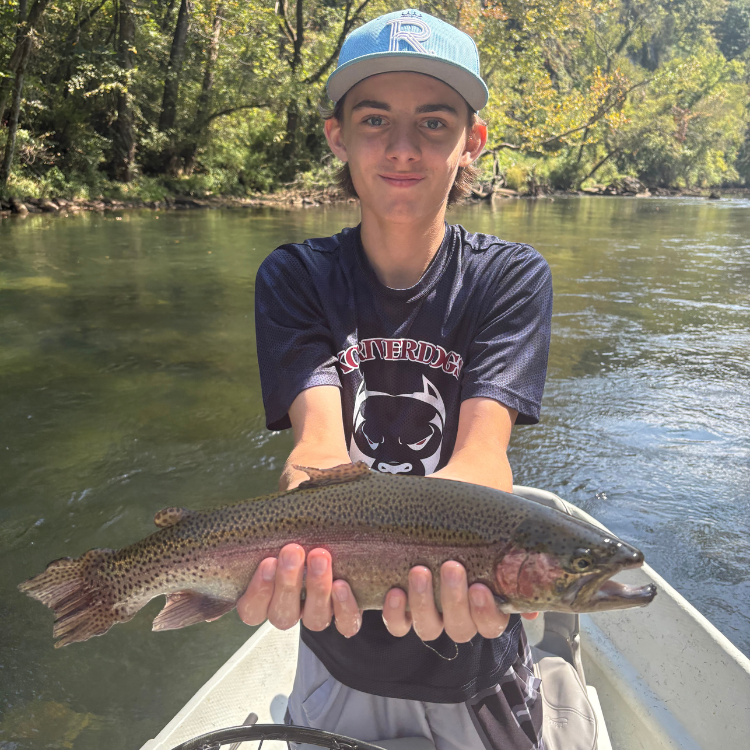 summer fly fishing watauga