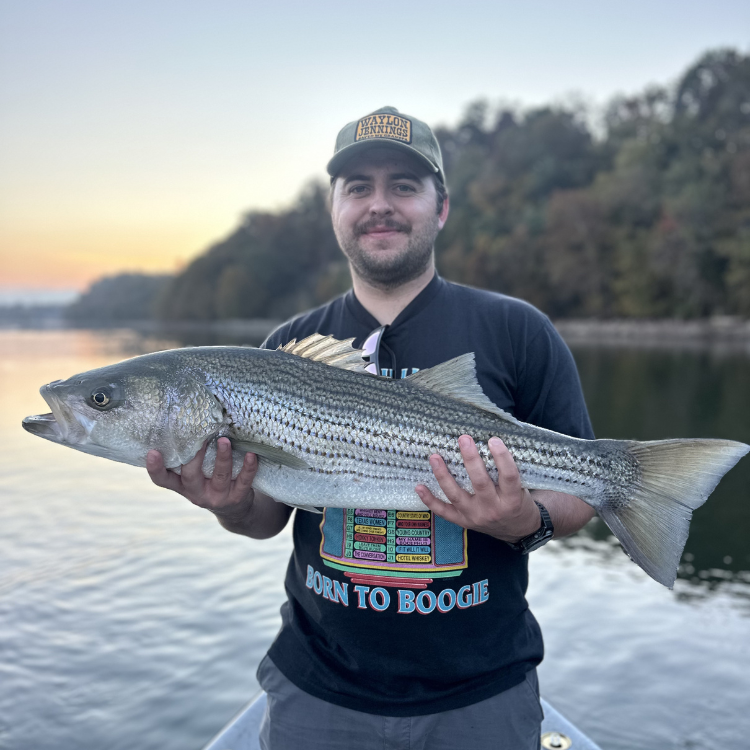 best times to fish the south Holston River